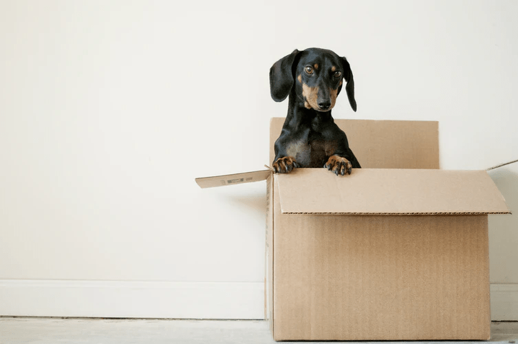 How Profitable Is It To Have A Moving And Storage Company? — Market Business&nbsp;News