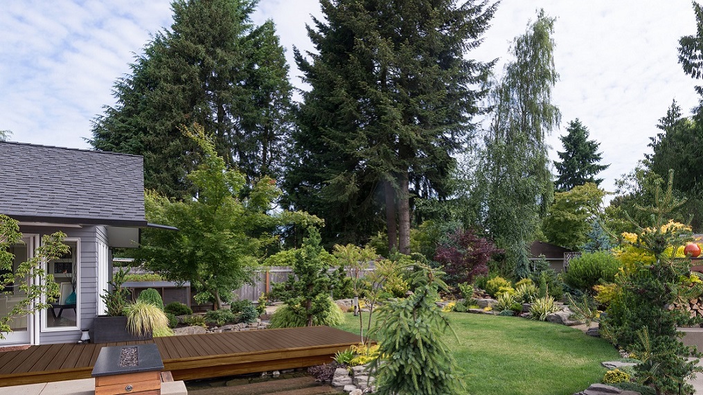 Organic Landscaping Ideas